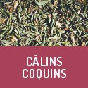 Câlins Coquins - Organic aphrodisiac herbal tea
